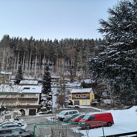 Appartement Ferien Am Wald à Baiersbronn Extérieur photo